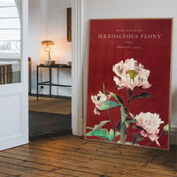 Hærdaceous Peony Ogawa Kazumasa Flowers Print