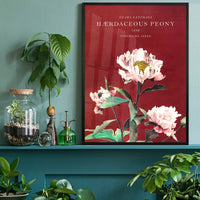 Hærdaceous Peony Ogawa Kazumasa Flowers Print