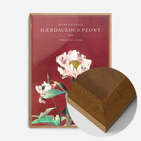 Hærdaceous Peony Ogawa Kazumasa Flowers Print