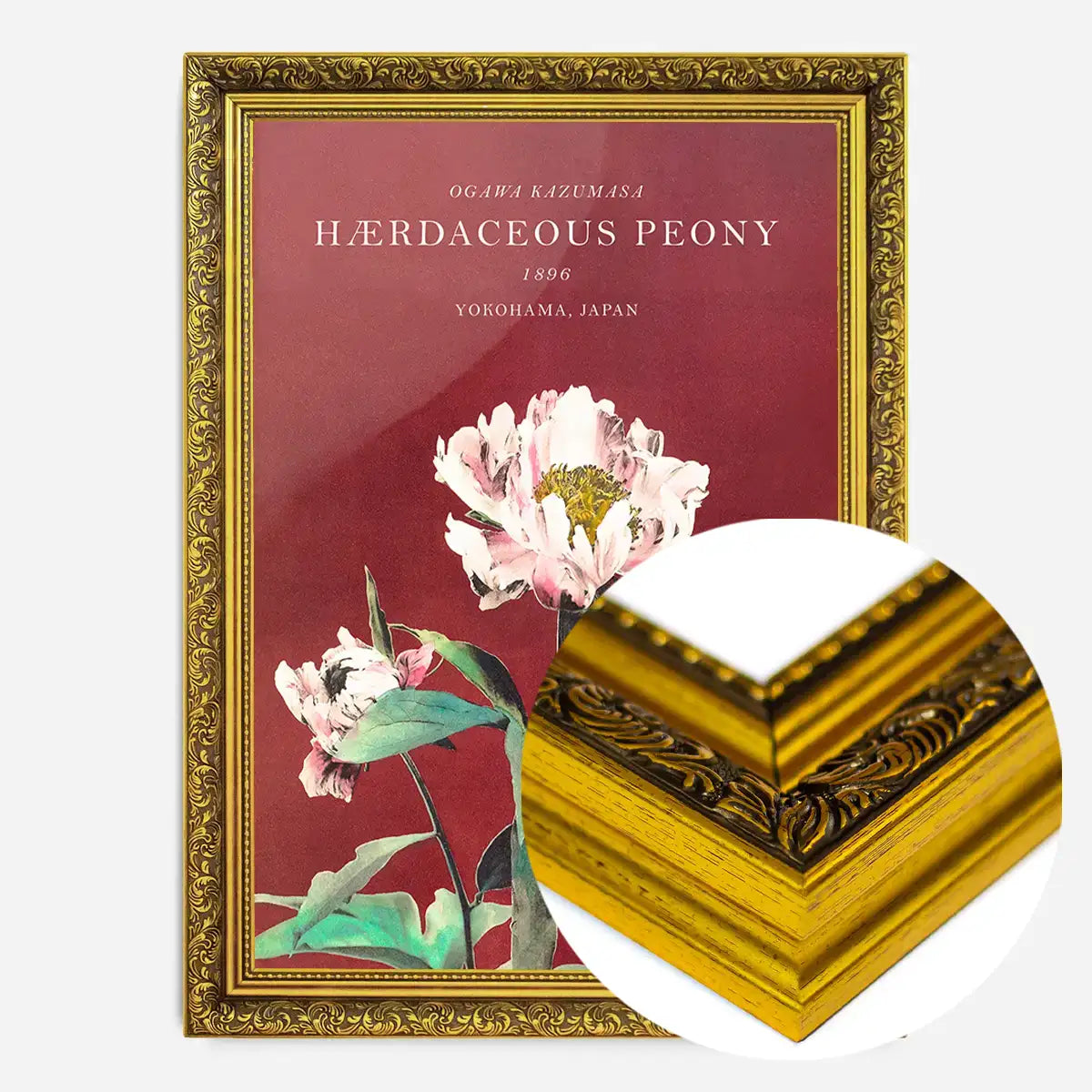 Hærdaceous Peony Ogawa Kazumasa Flowers Print