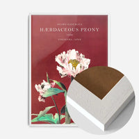 Hærdaceous Peony Ogawa Kazumasa Flowers Print