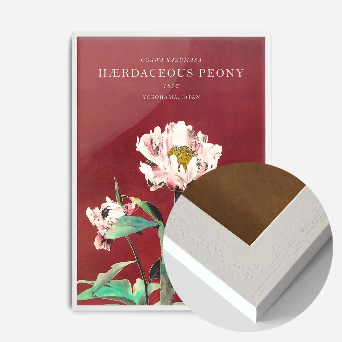 Hærdaceous Peony Ogawa Kazumasa Flowers Print