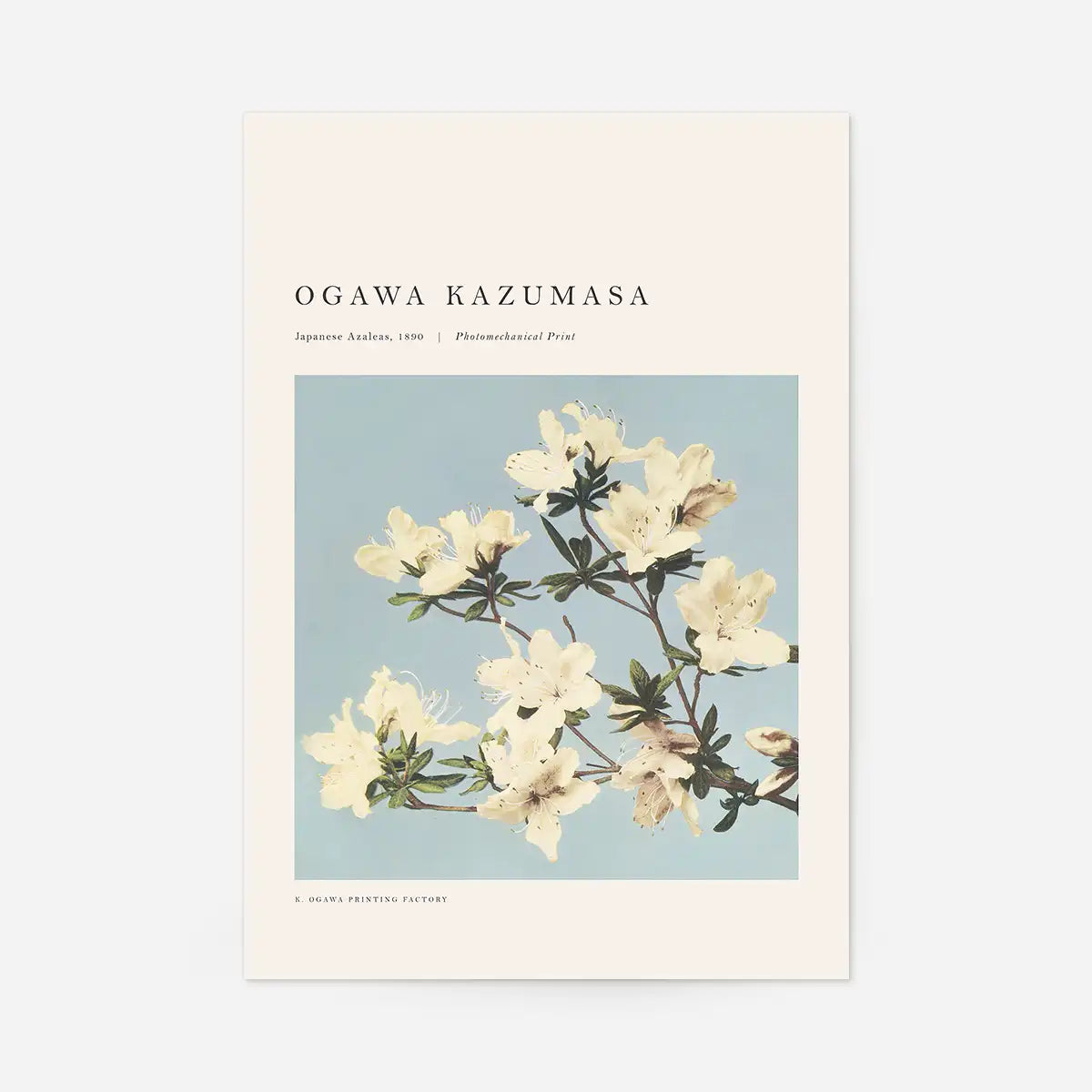 Japense Azaleas Ogawa Kazumasa Flowers Print