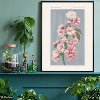 Cherry Blossom Ogawa Kazumasa Flowers Print