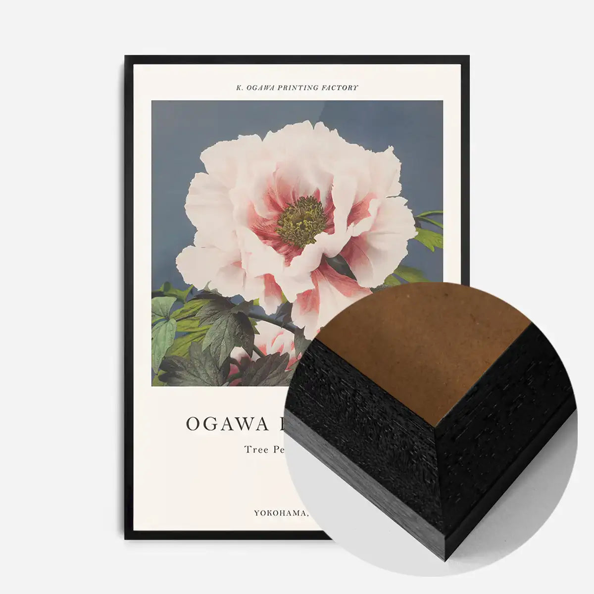 Tree Peony Ogawa Kazumasa Flowers Print – InkAndDrop