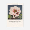 Tree Peony Ogawa Kazumasa Flowers Print
