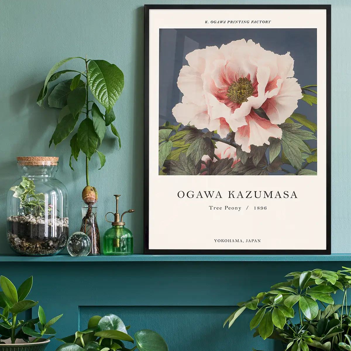 Tree Peony Ogawa Kazumasa Flowers Print