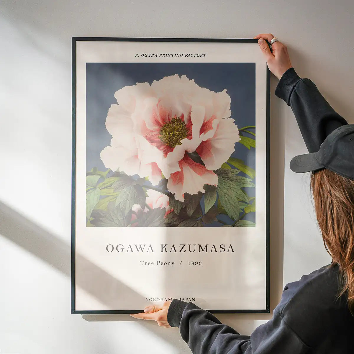 Tree Peony Ogawa Kazumasa Flowers Print