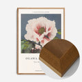 Oak Wood Frame