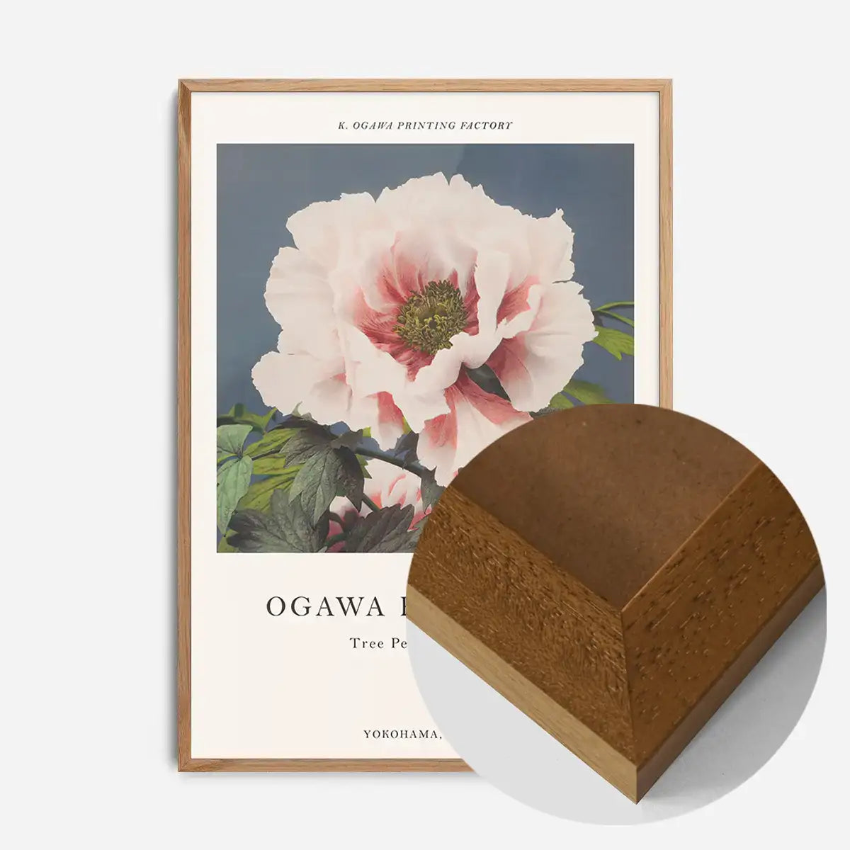 Tree Peony Ogawa Kazumasa Flowers Print