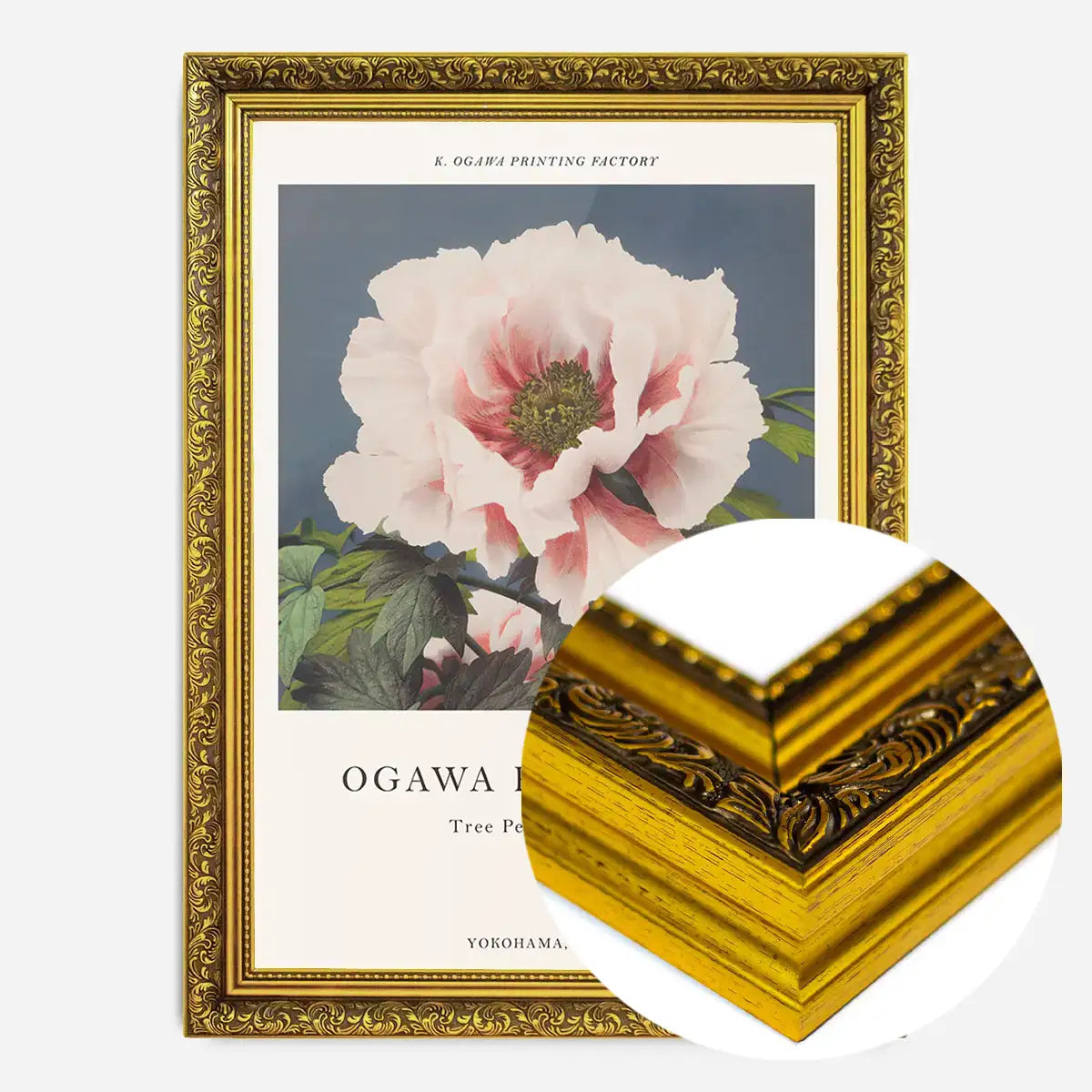 Tree Peony Ogawa Kazumasa Flowers Print