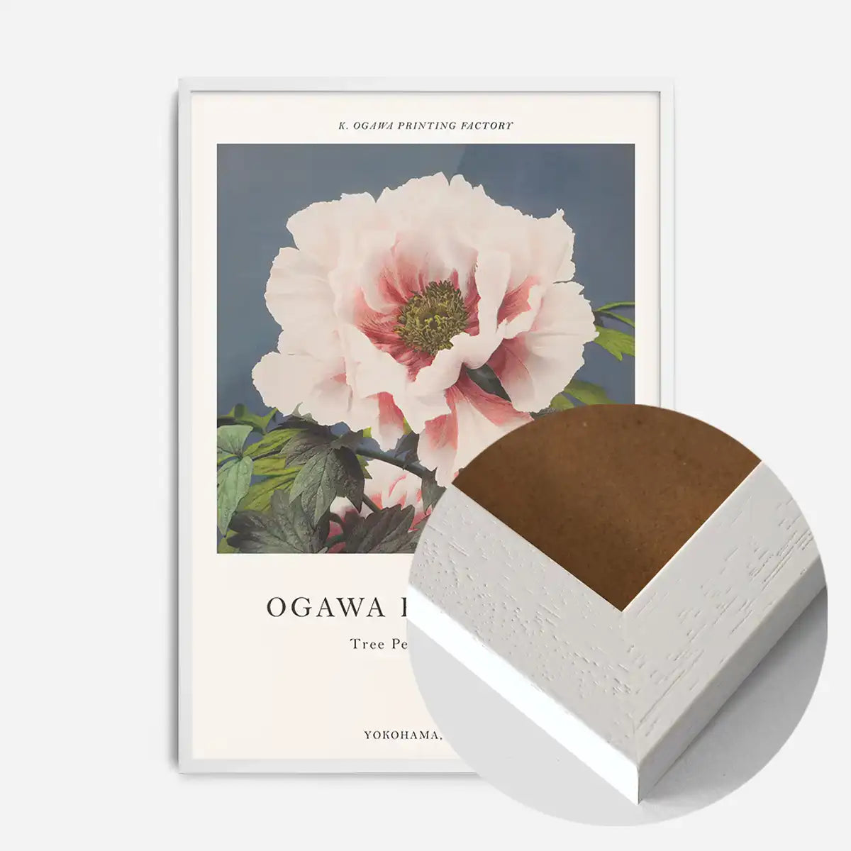 Tree Peony Ogawa Kazumasa Flowers Print – InkAndDrop