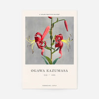 Lily Ogawa Kazumasa Flowers Print