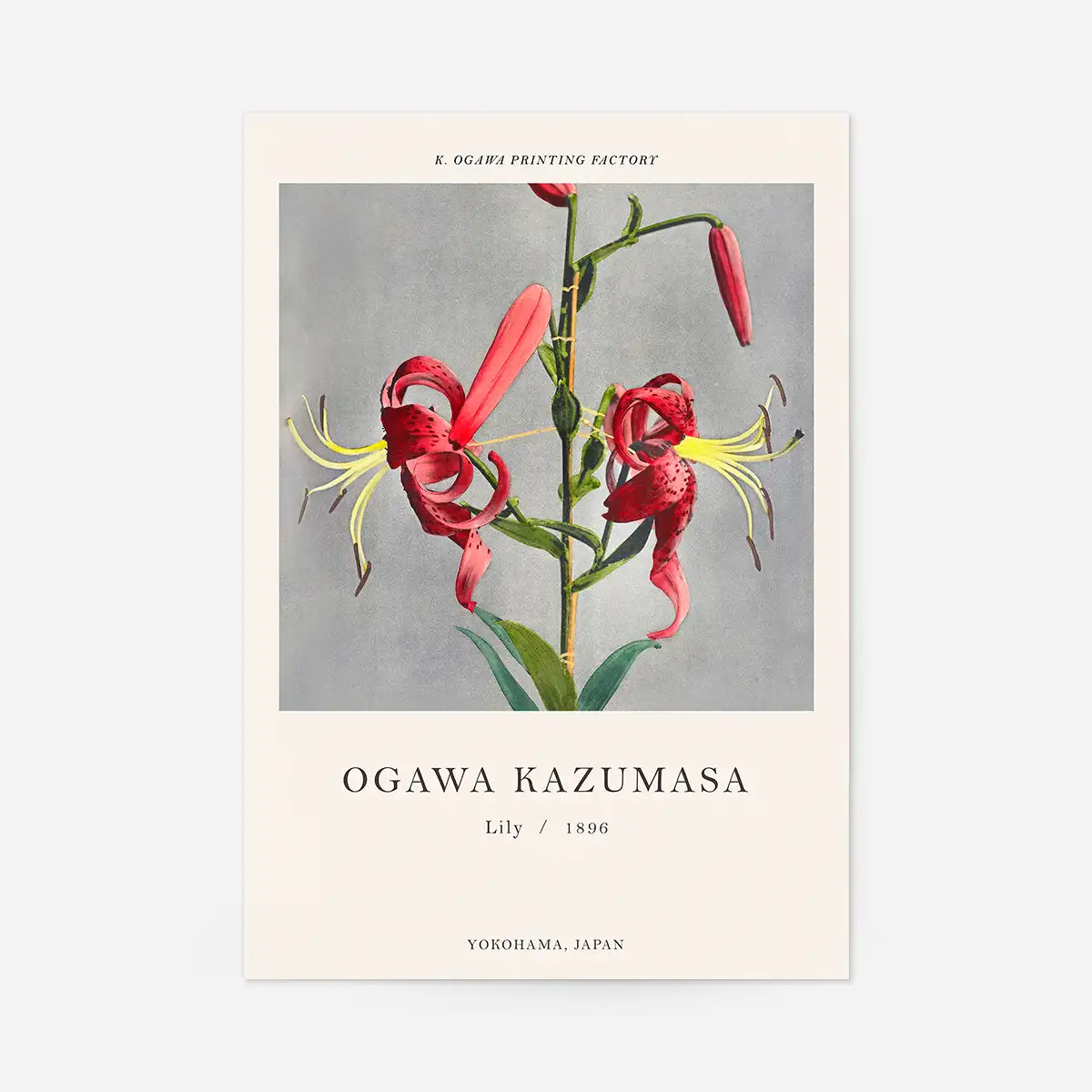 Lily Ogawa Kazumasa Flowers Print