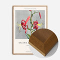Oak Wood Frame