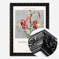 Black Ornate Frame