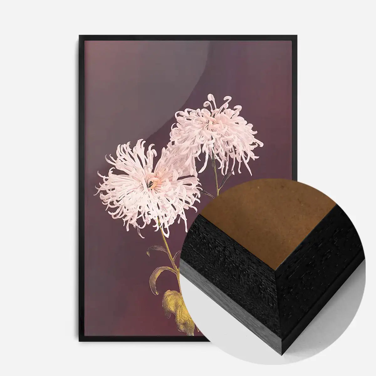 Chrysanthemum Ogawa Kazumasa Flowers Print