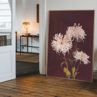 Chrysanthemum Ogawa Kazumasa Flowers Print