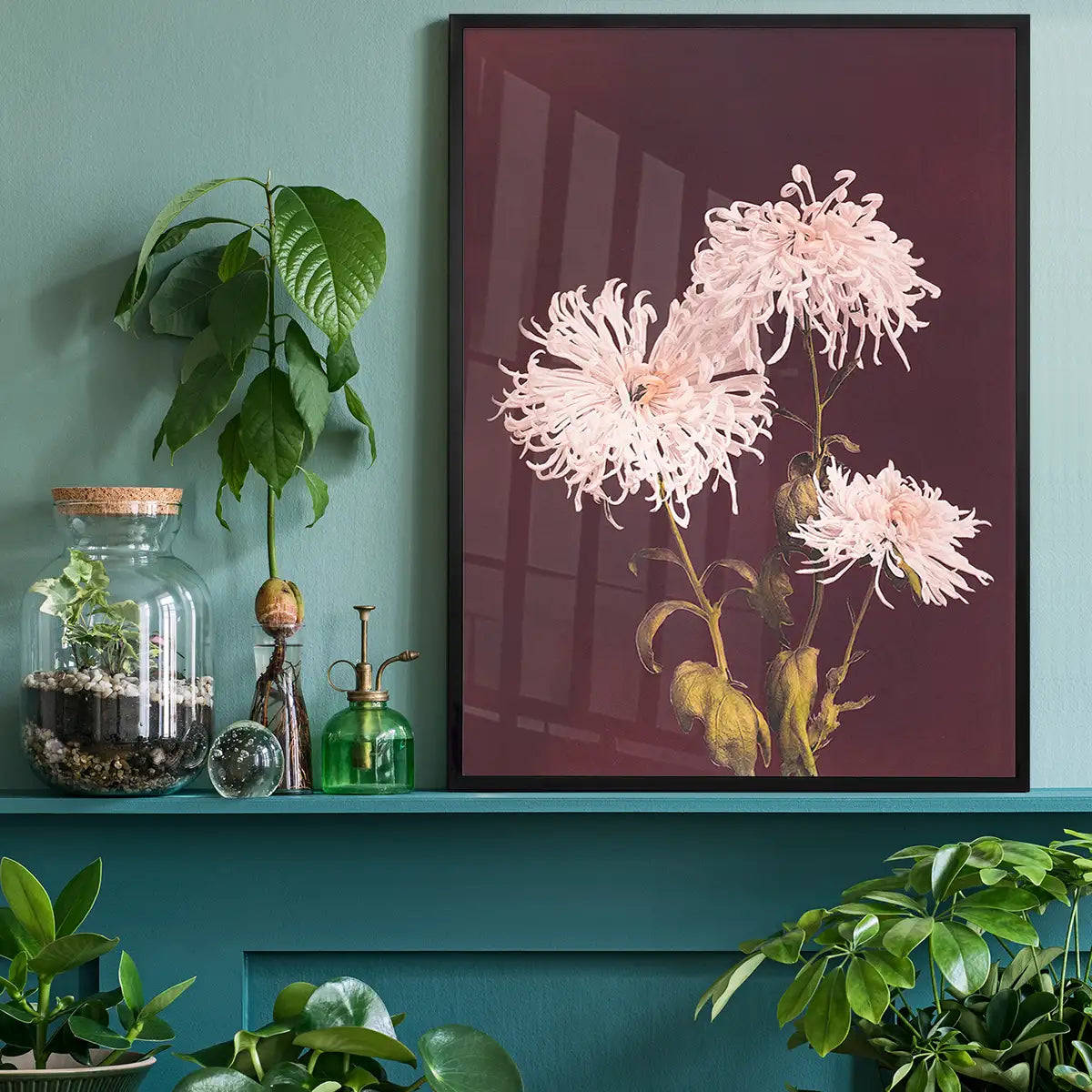 Chrysanthemum Ogawa Kazumasa Flowers Print