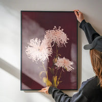 Chrysanthemum Ogawa Kazumasa Flowers Print