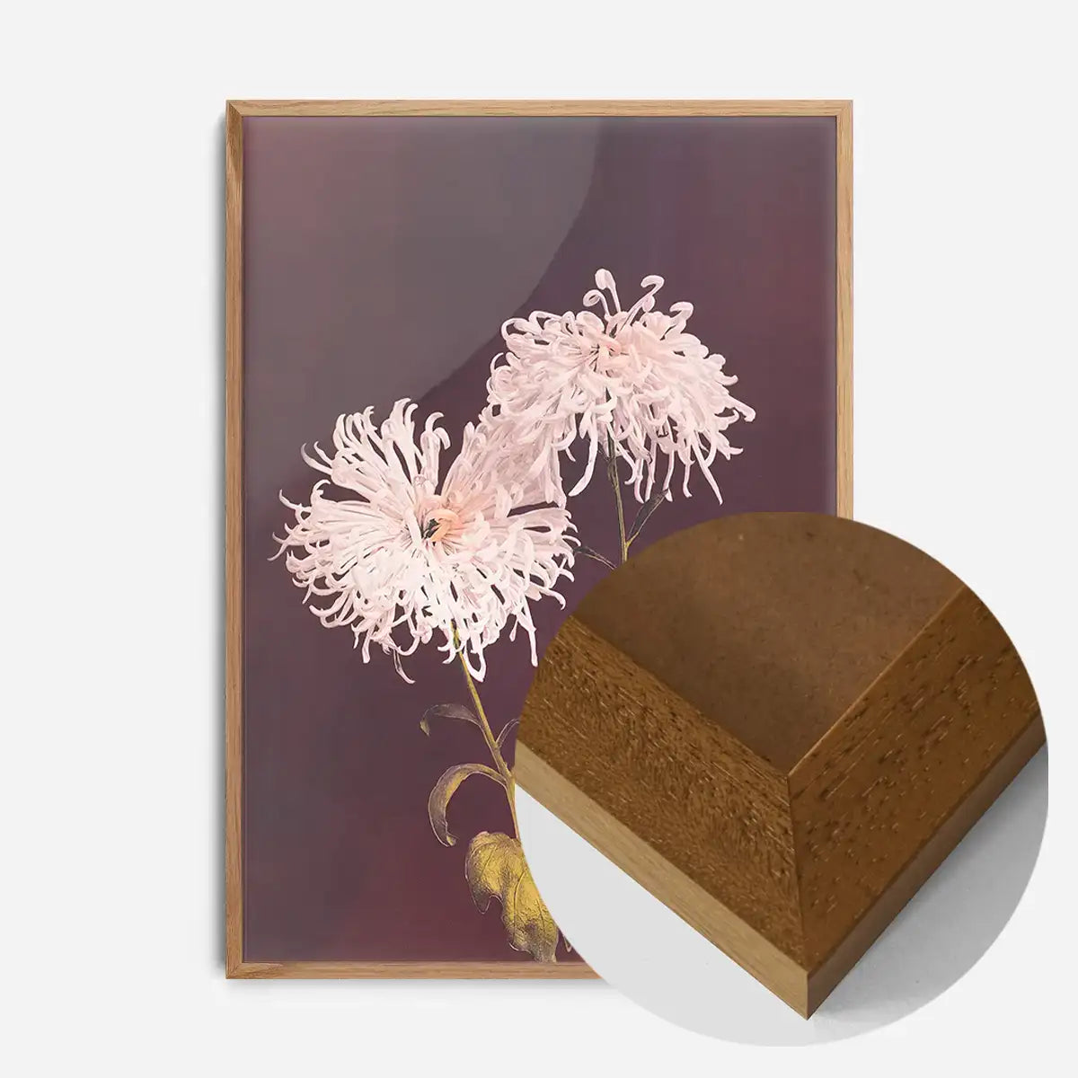 Chrysanthemum Ogawa Kazumasa Flowers Print