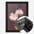 Black Ornate Frame