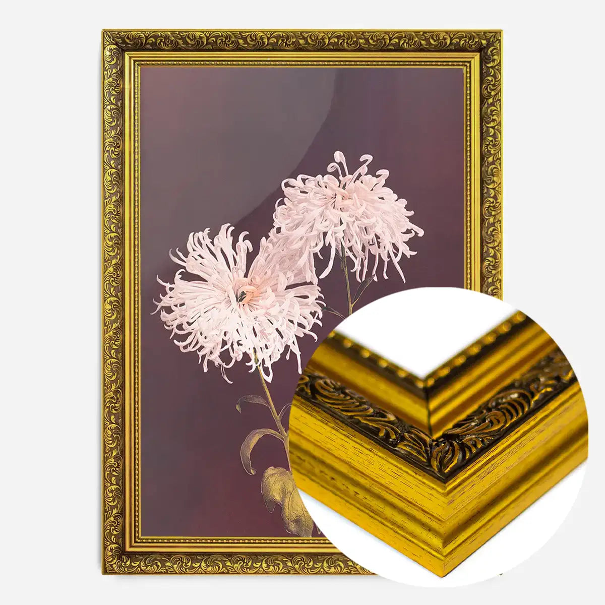 Chrysanthemum Ogawa Kazumasa Flowers Print