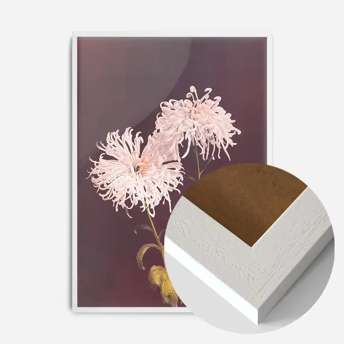 Chrysanthemum Ogawa Kazumasa Flowers Print