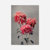 Asa-dsuma-bune Ogawa Kazumasa Flowers Print