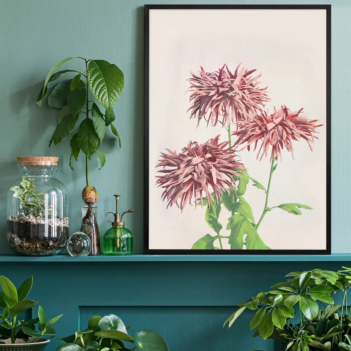 Three Pink Chrysanthemums Ogawa Kazumasa Flowers Print