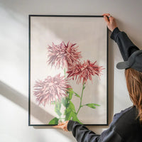 Three Pink Chrysanthemums Ogawa Kazumasa Flowers Print