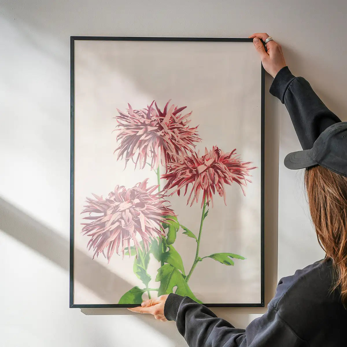 Three Pink Chrysanthemums Ogawa Kazumasa Flowers Print