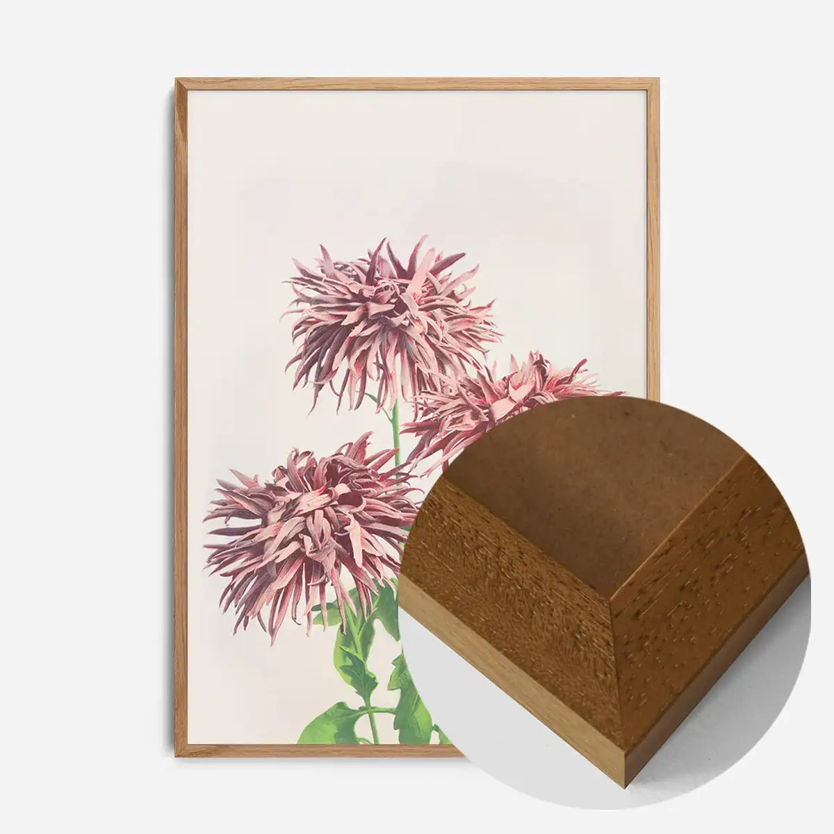 Three Pink Chrysanthemums Ogawa Kazumasa Flowers Print