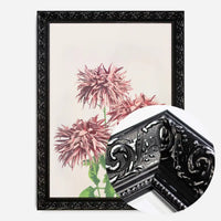 Three Pink Chrysanthemums Ogawa Kazumasa Flowers Print