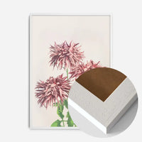 Three Pink Chrysanthemums Ogawa Kazumasa Flowers Print