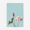 Lotus Flower Ogawa Kazumasa Flowers Print