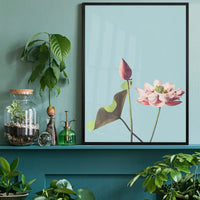 Lotus Flower Ogawa Kazumasa Flowers Print