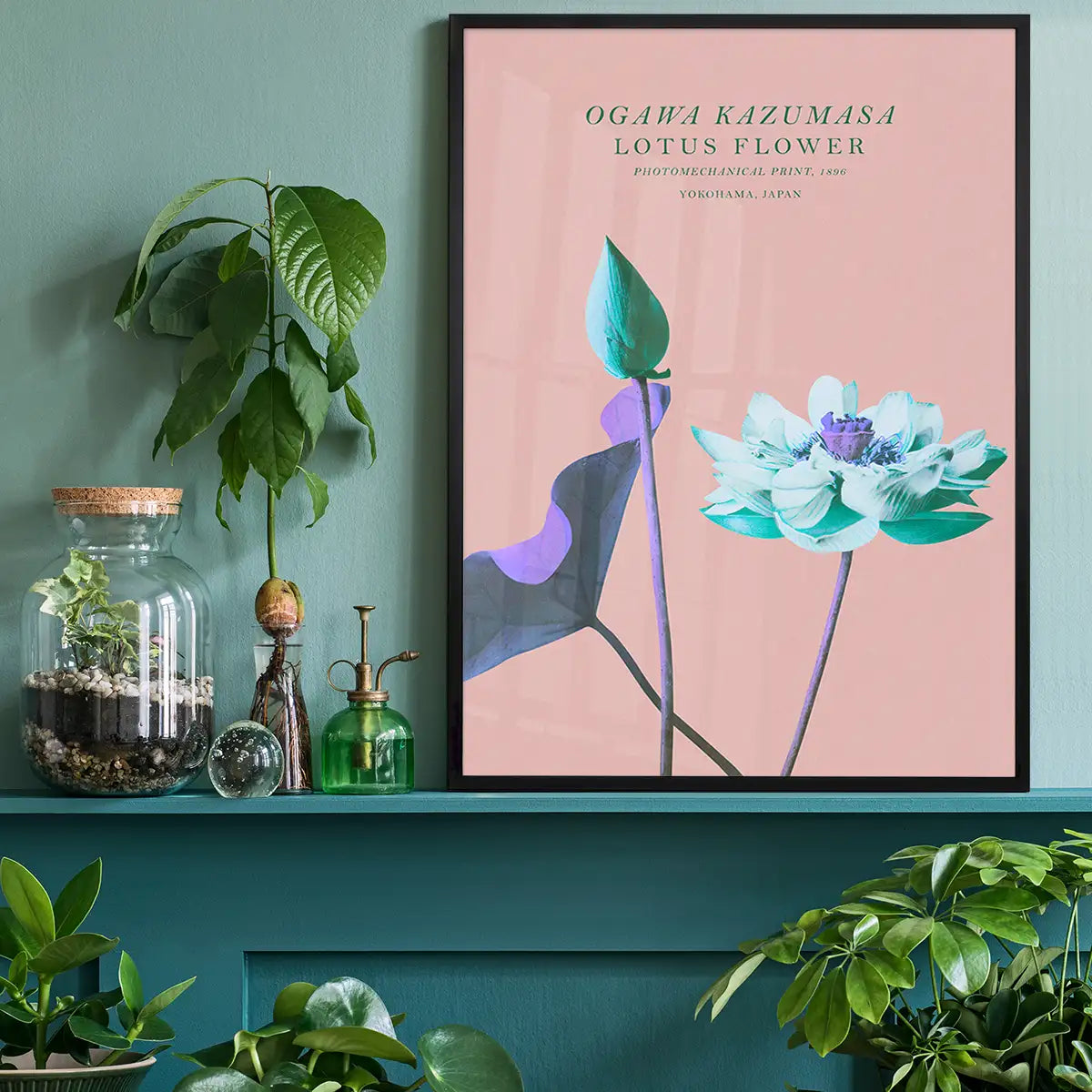 Lotus Flower Inverted Ogawa Kazumasa Flowers Print