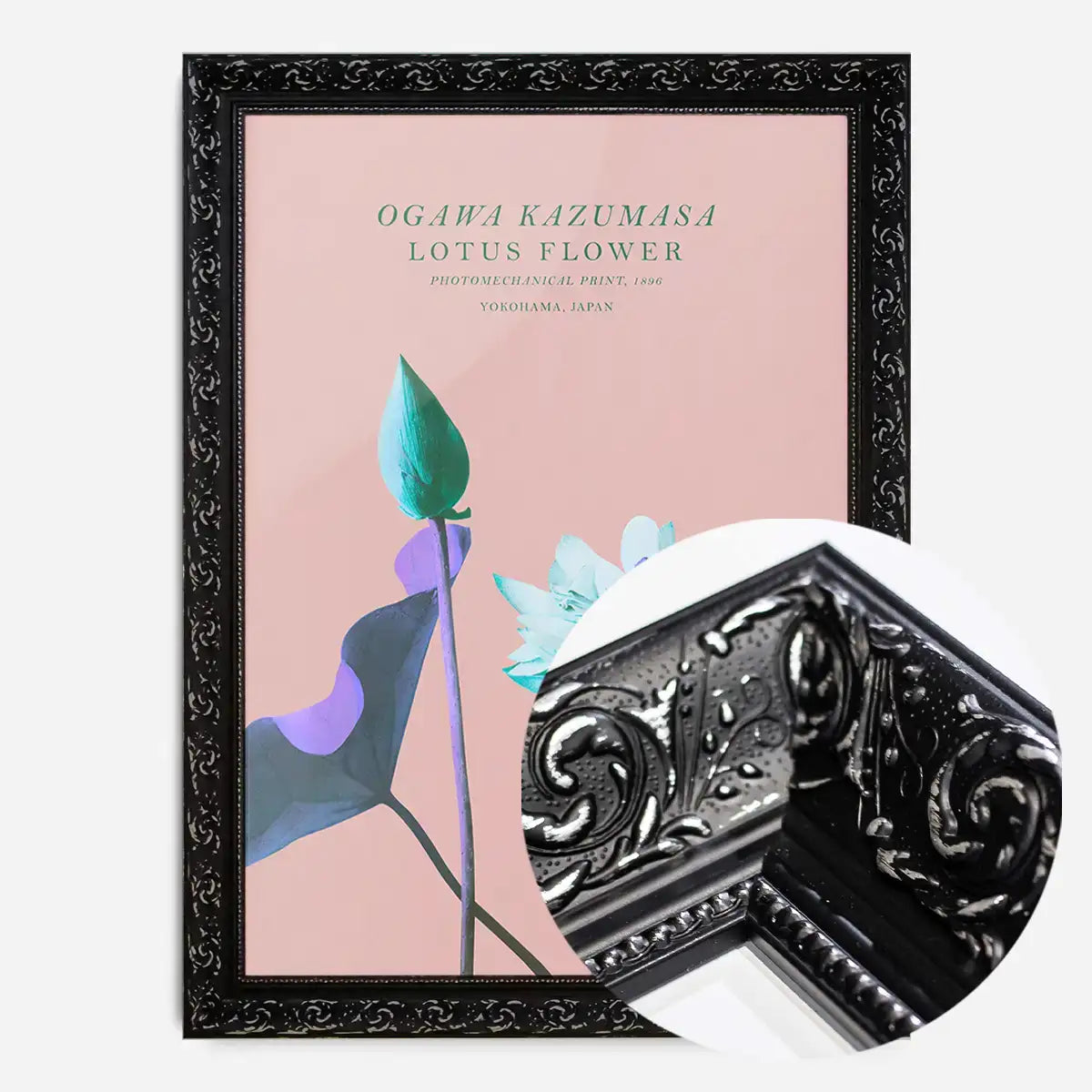 Lotus Flower Inverted Ogawa Kazumasa Flowers Print