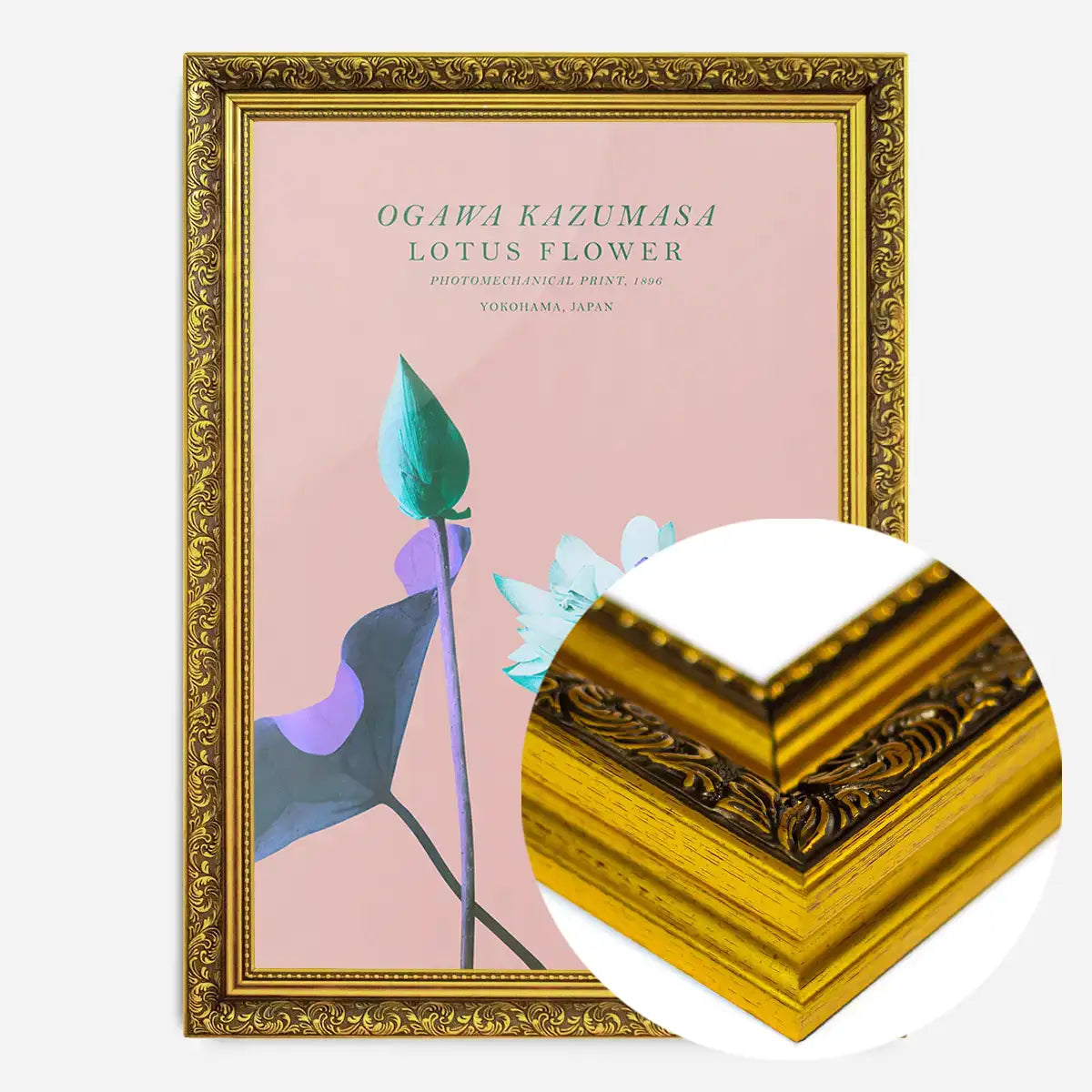 Lotus Flower Inverted Ogawa Kazumasa Flowers Print