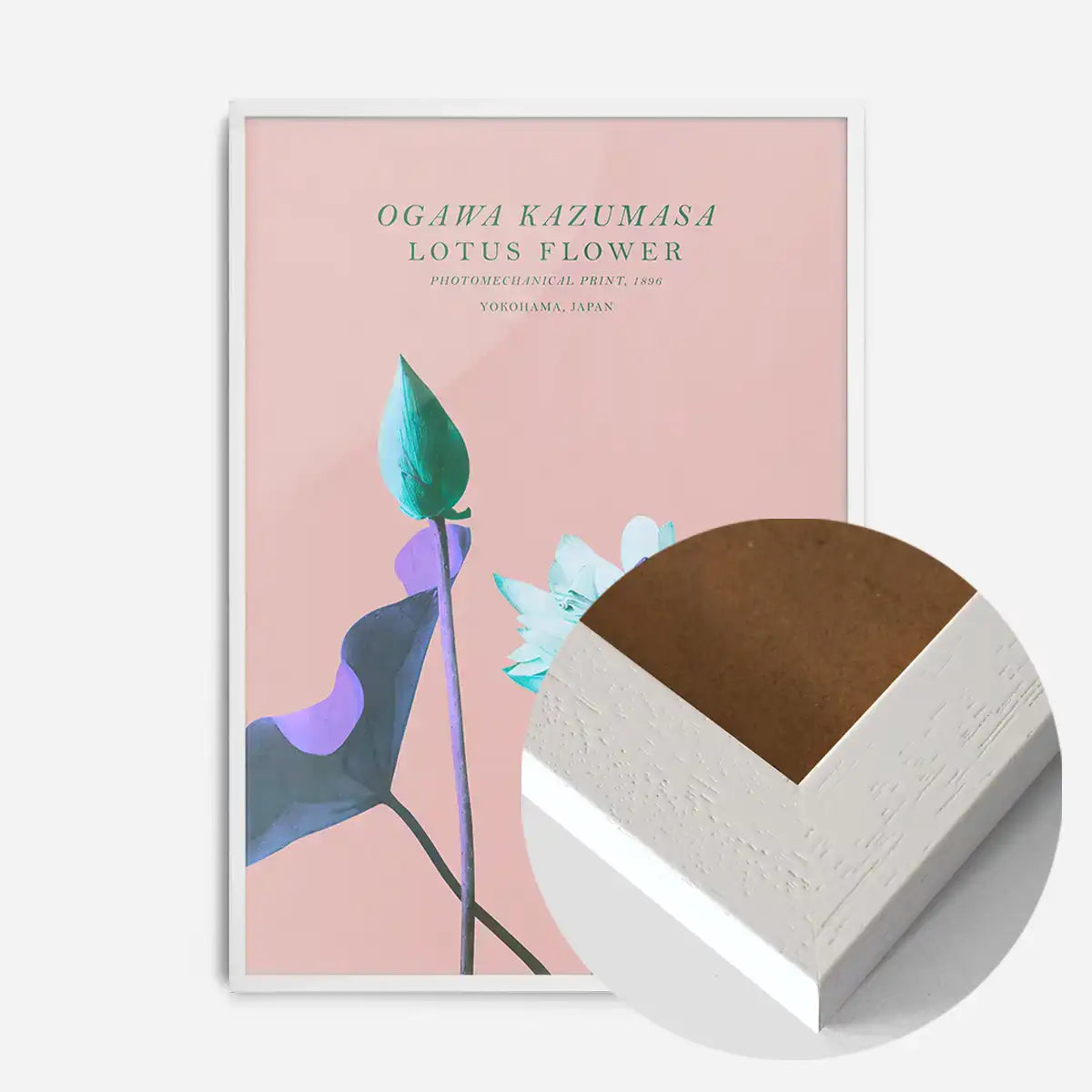 Lotus Flower Inverted Ogawa Kazumasa Flowers Print