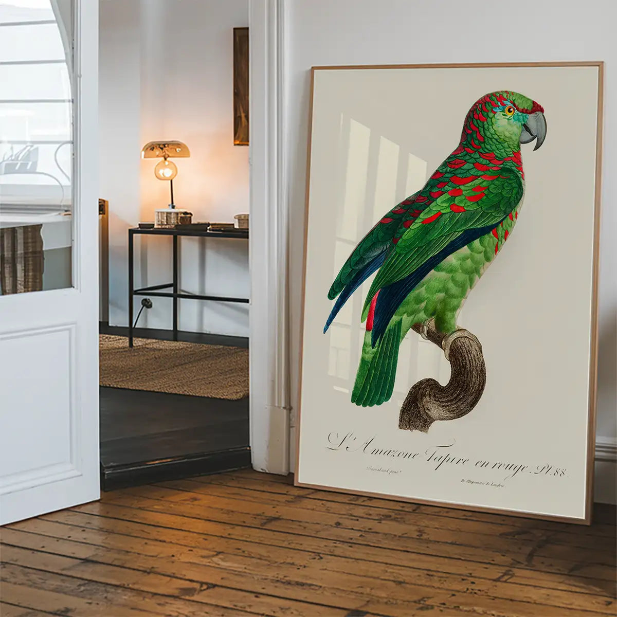 Turquoise Fronted Amazon Parrot Bird Print