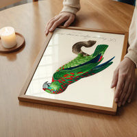 Turquoise Fronted Amazon Parrot Bird Print