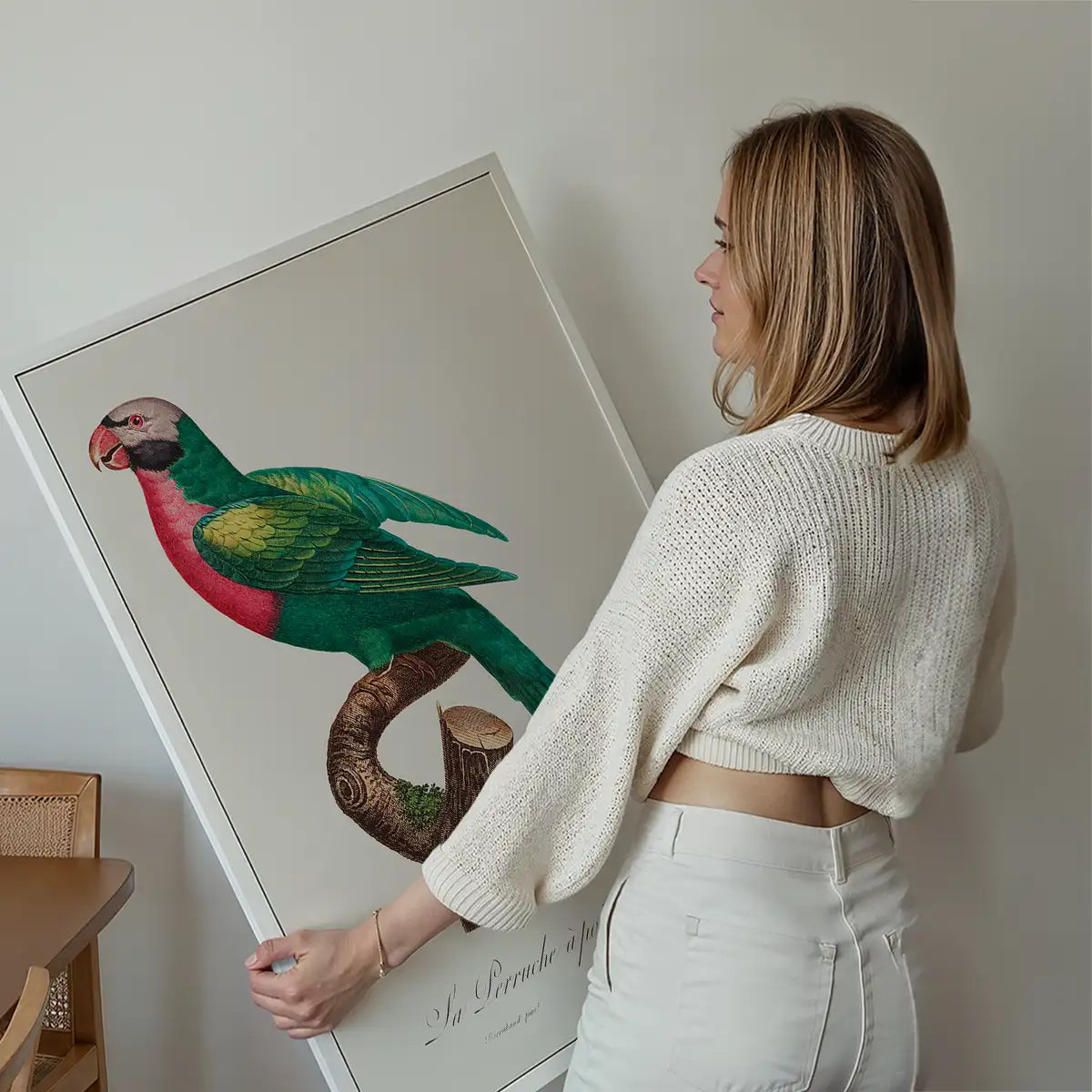 Red Breasted Parakeet Parrot Bird Print