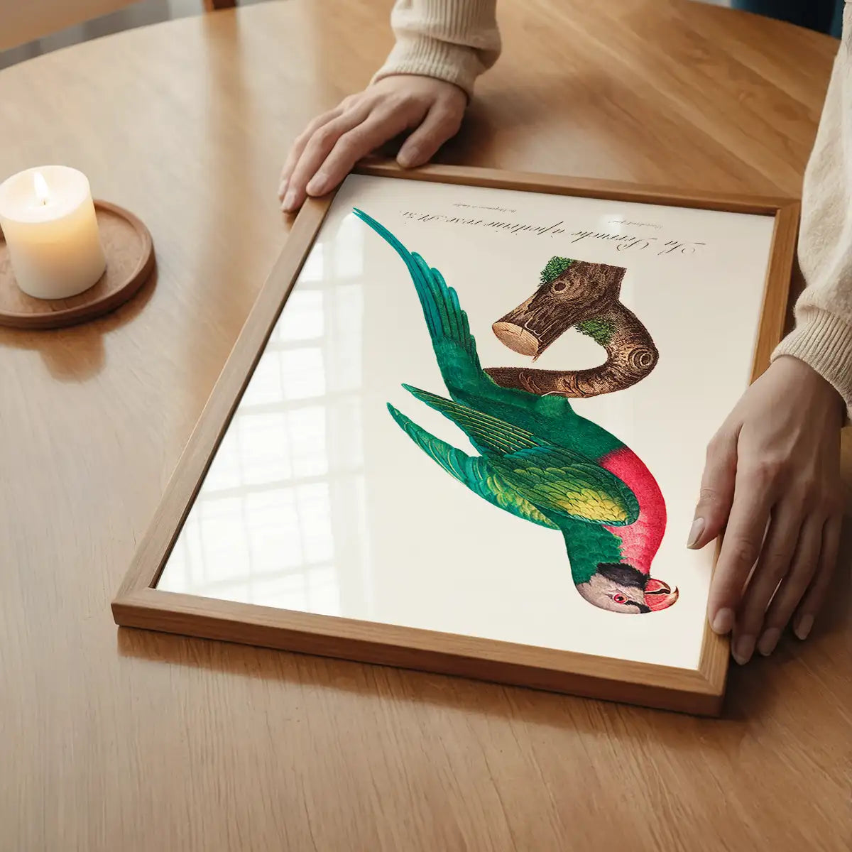 Red Breasted Parakeet Parrot Bird Print