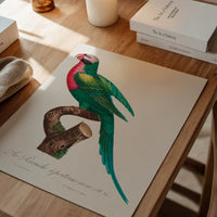 Red Breasted Parakeet Parrot Bird Print