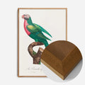 Oak Wood Frame