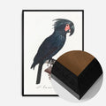 Black Wood Frame