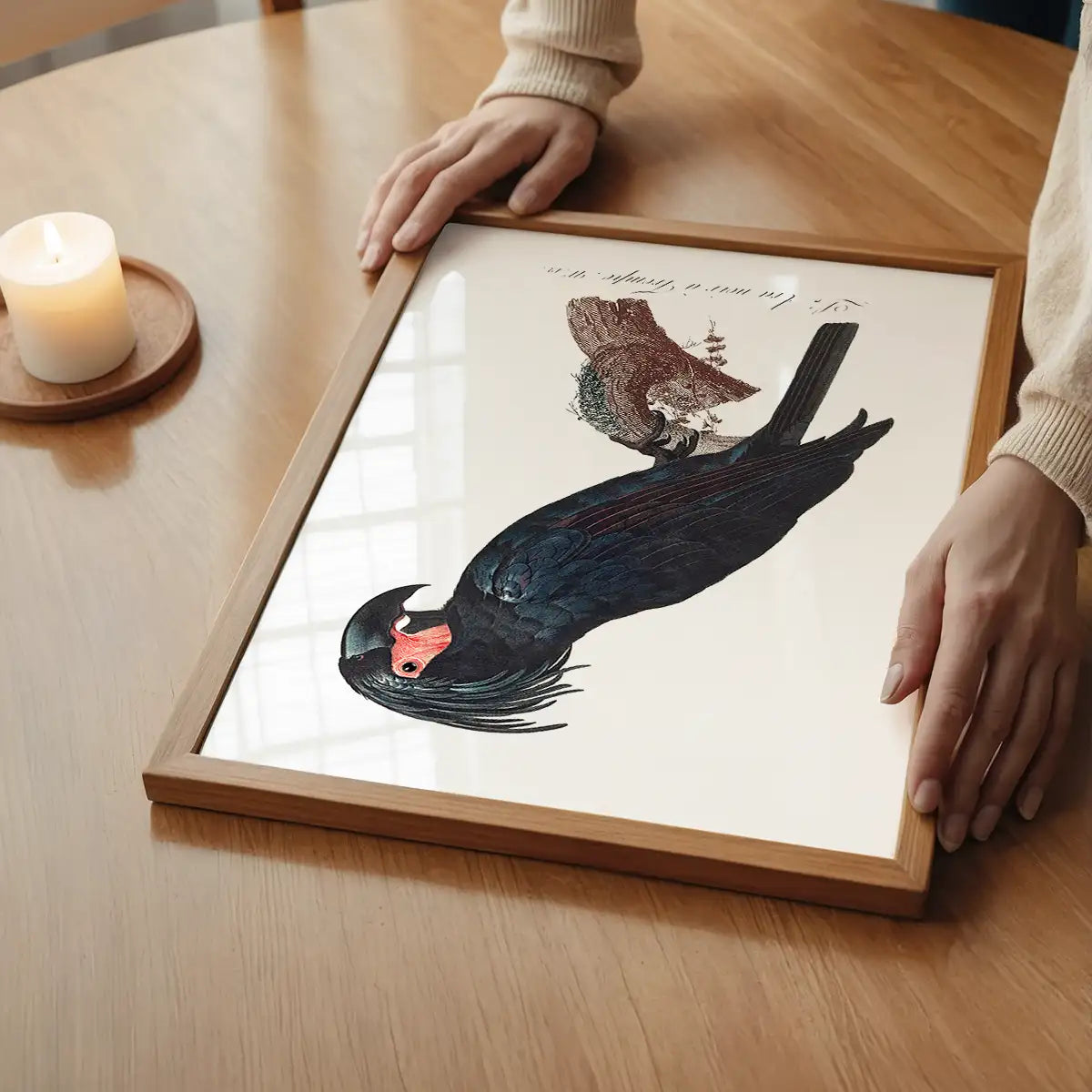Palm Cockatoo Parrot Bird Print