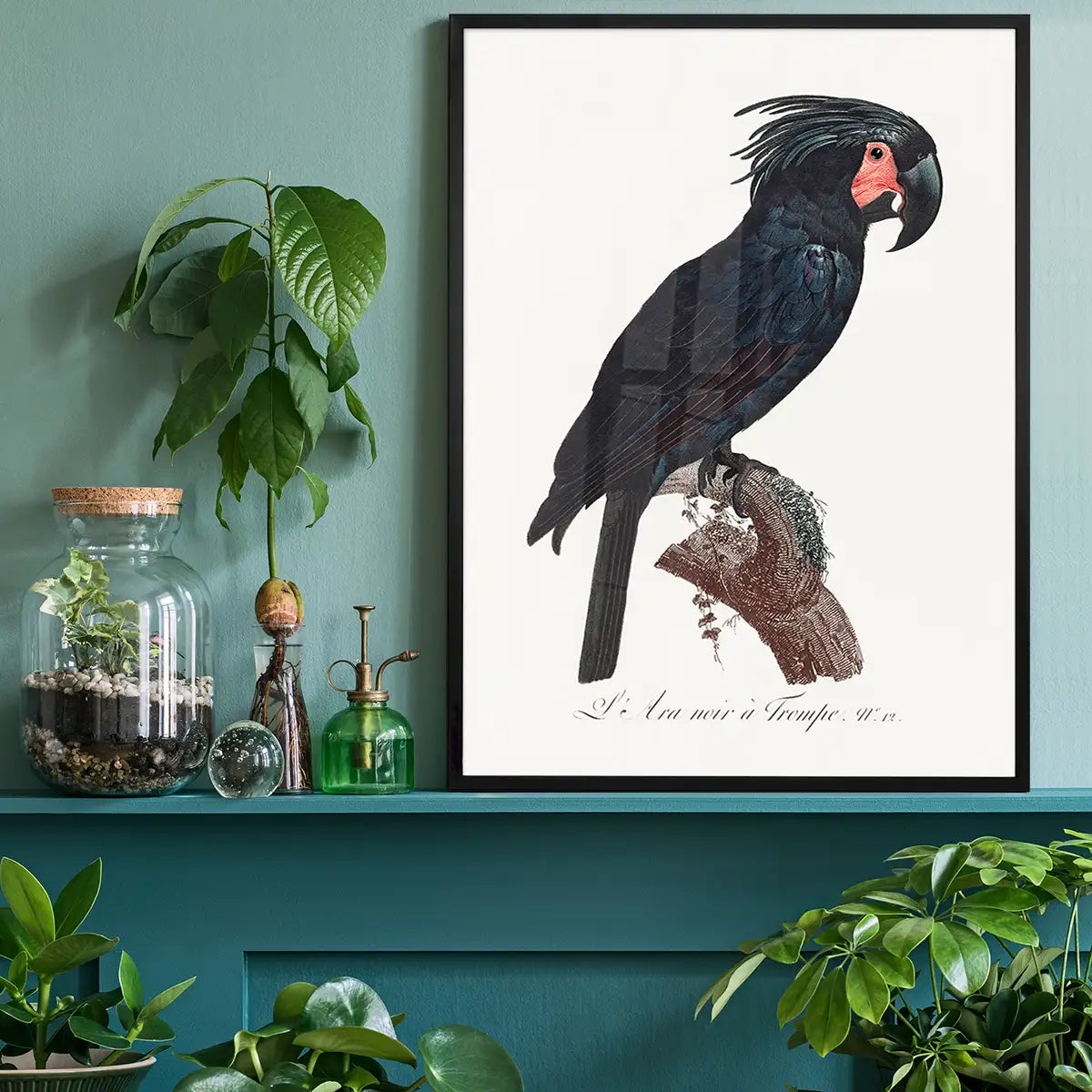Palm Cockatoo Parrot Bird Print